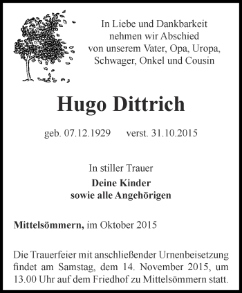 Traueranzeige von Hugo Dittrich von Thüringer Allgemeine, Thüringische Landeszeitung