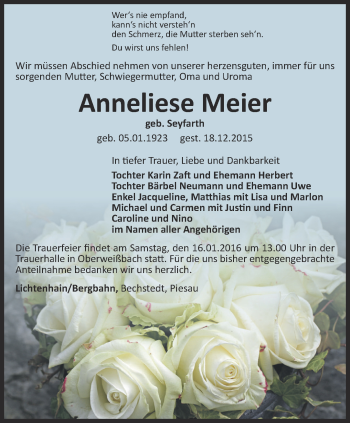 Traueranzeige von Anneliese Meier von Ostthüringer Zeitung