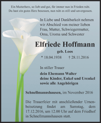 Traueranzeige von Elfriede Hoffmann von Thüringer Allgemeine, Thüringische Landeszeitung