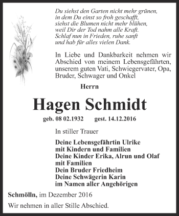 Traueranzeige von Hagen Schmidt von Ostthüringer Zeitung