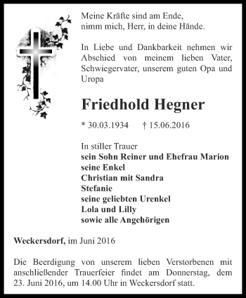 Traueranzeige von Friedhold Heger von Ostthüringer Zeitung