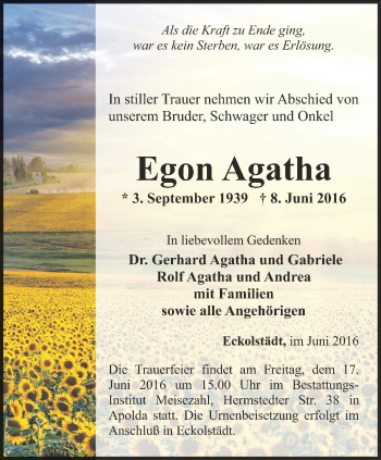 Traueranzeige von Egon Agatha von Thüringer Allgemeine, Thüringische Landeszeitung