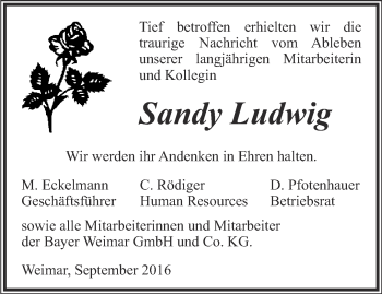 Traueranzeige von Sandy Ludwig von Ostthüringer Zeitung, Thüringische Landeszeitung