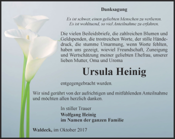 Traueranzeige von Ursula Heinig von Ostthüringer Zeitung