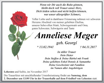 Traueranzeige von Anneliese Meger von Ostthüringer Zeitung