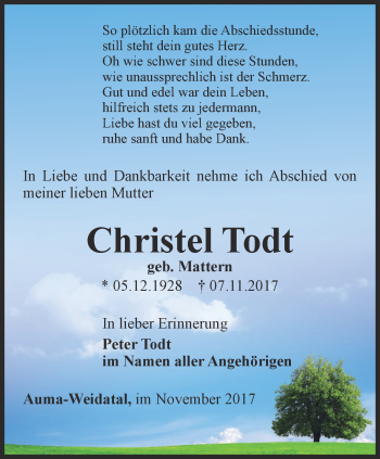 Traueranzeige von Christel Todt von Ostthüringer Zeitung