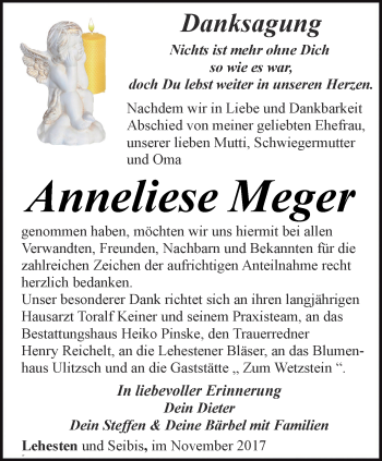 Traueranzeige von Anneliese Meger von Ostthüringer Zeitung