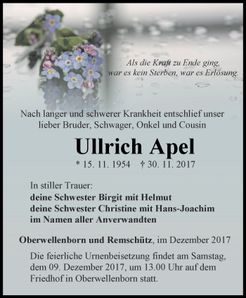 Traueranzeige von Ullrich Apel von Ostthüringer Zeitung