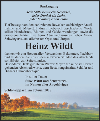 Traueranzeige von Heinz Wildt von Thüringer Allgemeine