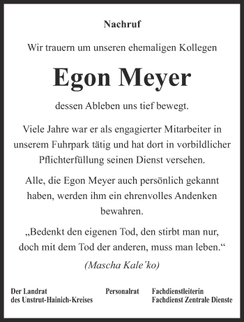 Traueranzeige von Egon Meyer von Thüringer Allgemeine, Thüringische Landeszeitung