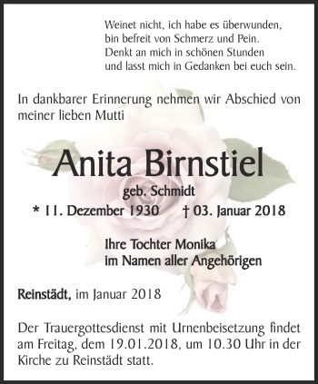 Traueranzeige von Anita Birnstiel von Ostthüringer Zeitung, Thüringische Landeszeitung