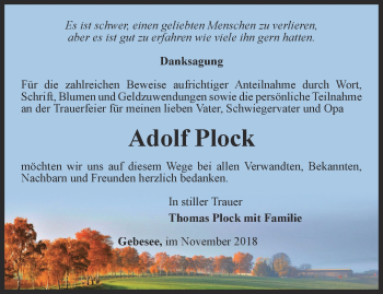 Traueranzeige von Adolf Plock von Thüringer Allgemeine, Thüringische Landeszeitung
