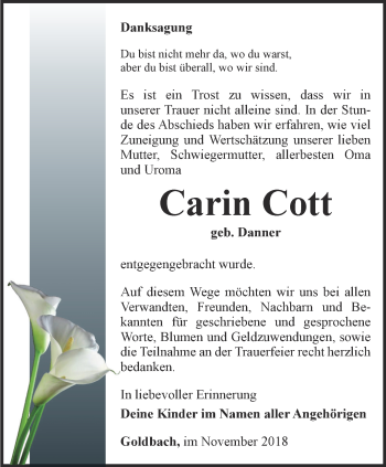 Traueranzeige von Carin Cott von Ostthüringer Zeitung, Thüringische Landeszeitung