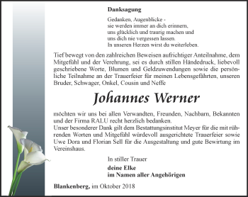 Traueranzeige von Johannes Werner von Ostthüringer Zeitung