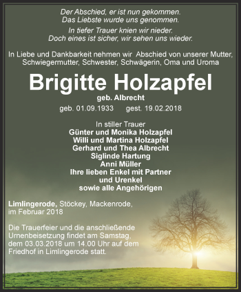 Traueranzeige von Brigitte Holzapfel von Thüringer Allgemeine