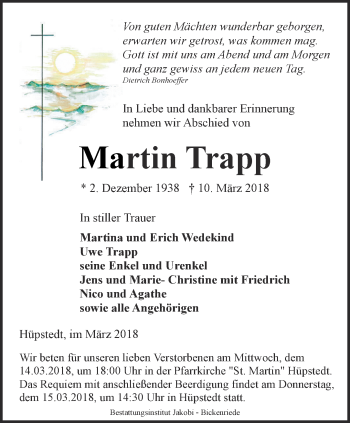 Traueranzeige von Martin Trapp von Thüringer Allgemeine, Thüringische Landeszeitung