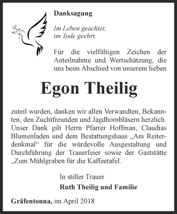 Traueranzeige von Egon Theilig von Thüringer Allgemeine, Thüringische Landeszeitung