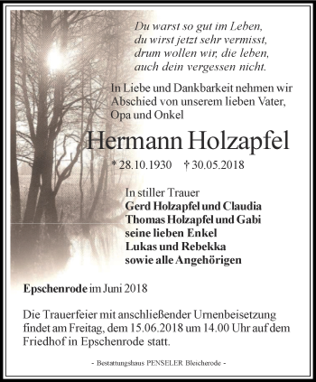 Traueranzeige von Hermann Holzapfel von Thüringer Allgemeine