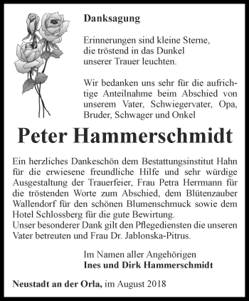 Traueranzeige von Peter Hammerschmidt