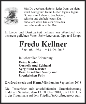 Traueranzeige von Fredo Kellner von Thüringer Allgemeine, Thüringische Landeszeitung