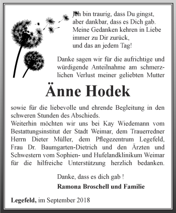 Traueranzeige von Änne Hodek von Thüringer Allgemeine, Thüringische Landeszeitung