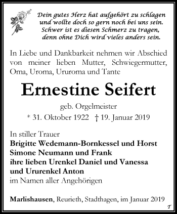 Traueranzeige von Ernestine Seifert von Ostthüringer Zeitung