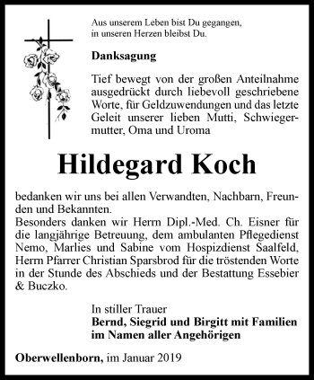 Traueranzeige von Hildegard Koch von Ostthüringer Zeitung