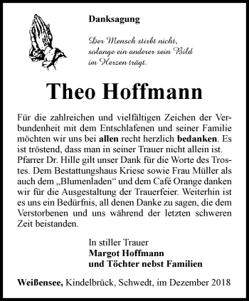 Traueranzeige von Theo Hoffmann von Thüringer Allgemeine