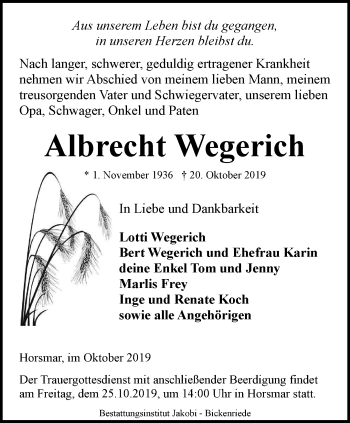 Traueranzeige von Albrecht Wegerich von Thüringer Allgemeine, Thüringische Landeszeitung