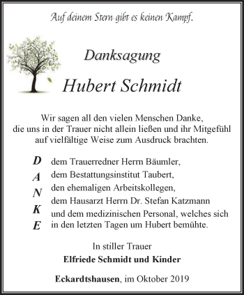 Traueranzeige von Hubert Schmidt von Thüringer Allgemeine, Thüringische Landeszeitung