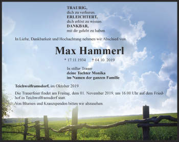 Traueranzeige von Max Hammerl von Ostthüringer Zeitung