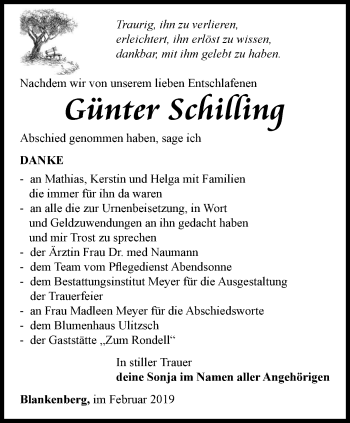 Traueranzeige von Günter Schiffing von Ostthüringer Zeitung