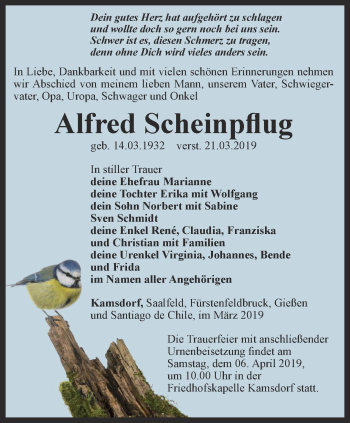 Traueranzeige von Alfred Scheinpflug von Ostthüringer Zeitung