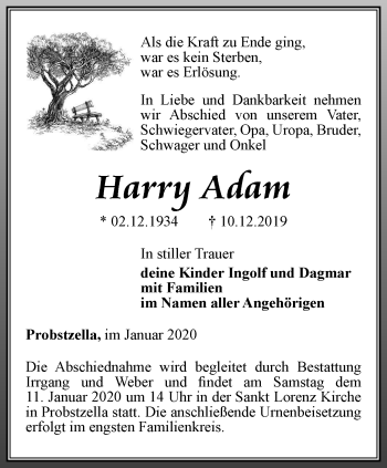 Traueranzeige von Harry Adam von Ostthüringer Zeitung