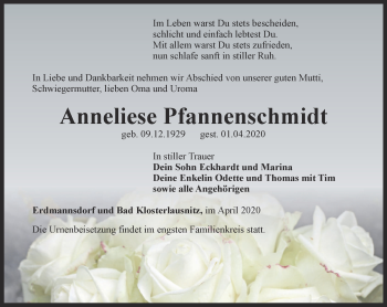 Traueranzeige von Anneliese Pfannenschmidt von Ostthüringer Zeitung