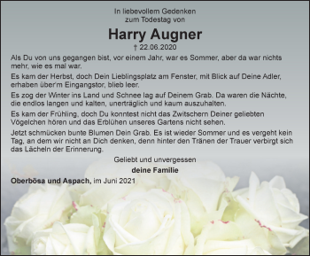 Traueranzeige von Harry Augner von Thüringer Allgemeine