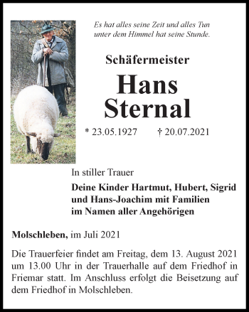 Traueranzeige von Hans Sternal von Thüringer Allgemeine, Thüringische Landeszeitung