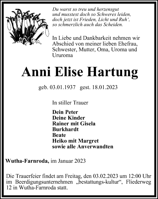 Traueranzeige von Anni Elise Hartung von Thüringer Allgemeine, Thüringische Landeszeitung