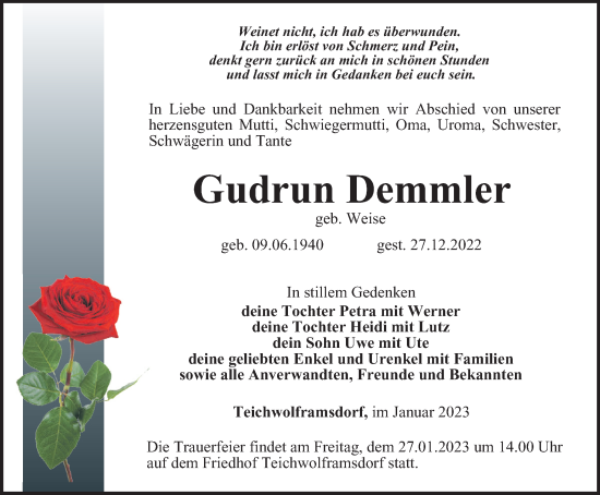 Traueranzeige von Gudrun Demmler von Ostthüringer Zeitung