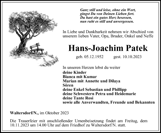 Traueranzeige von Hans-Joachim Patek von Ostthüringer Zeitung