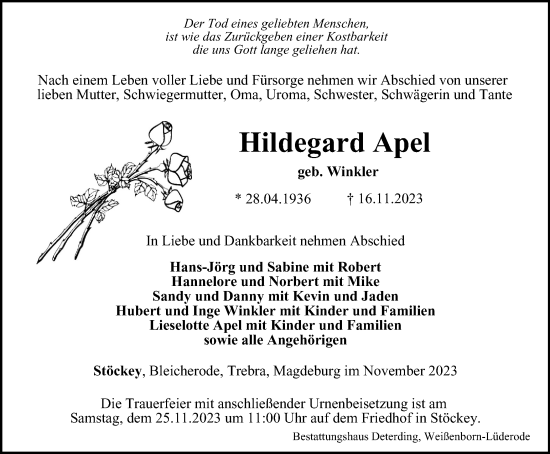 Traueranzeige von Hildegard Apel von Thüringer Allgemeine