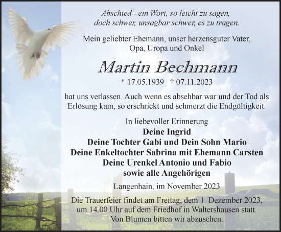 Traueranzeige von Martin Bechmann von Thüringer Allgemeine, Thüringische Landeszeitung