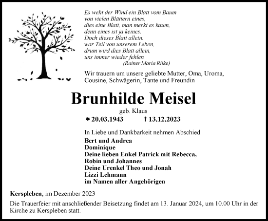 Traueranzeige von Brunhilde Meisel von Thüringer Allgemeine, Thüringische Landeszeitung
