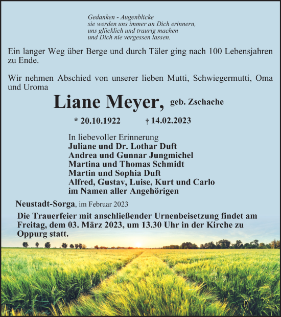 Traueranzeige von Liane Meyer von Ostthüringer Zeitung