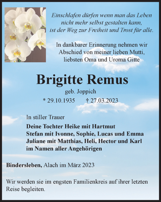 Traueranzeige von Brigitte Remus von Thüringer Allgemeine, Thüringische Landeszeitung