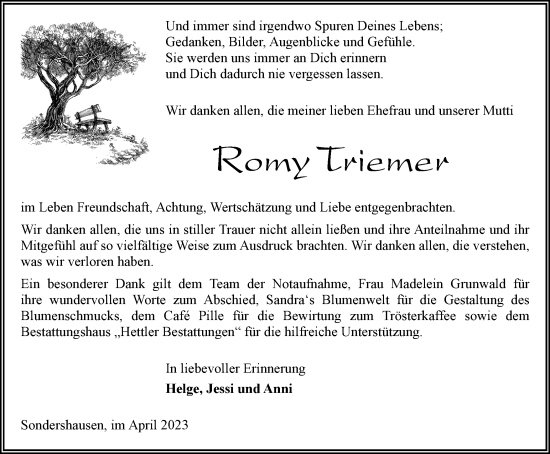 Traueranzeige von Romy Triemer von Thüringer Allgemeine