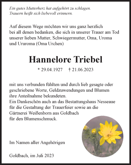 Traueranzeige von Hannelore Triebel von Thüringer Allgemeine, Thüringische Landeszeitung