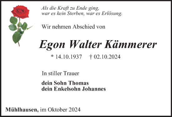 Traueranzeige von Egon Walter Kämmerer von Thüringer Allgemeine, Thüringische Landeszeitung