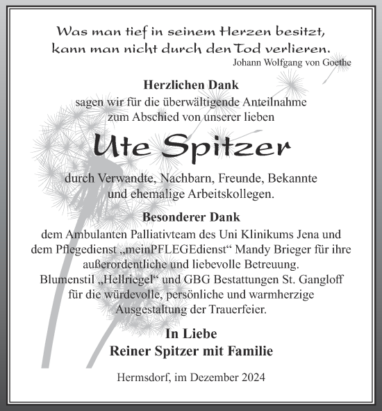 Traueranzeige von Ute Spitzer von Ostthüringer Zeitung