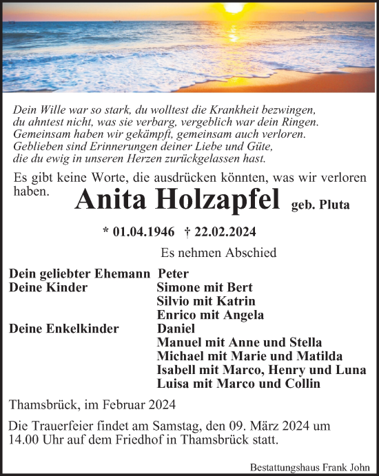 Traueranzeige von Anita Holzapfel von Thüringer Allgemeine, Thüringische Landeszeitung